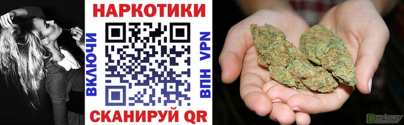 Где купить наркотики Новотитаровская Cocaine  СК  Гашиш  Канабис  Меф 