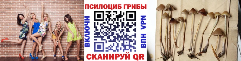 Галлюциногенные грибы прущие грибы  закладки  blacksprut зеркало  Новотитаровская 